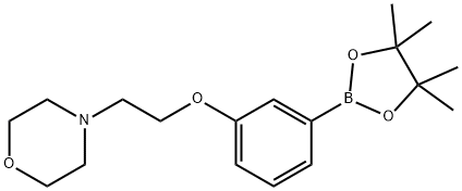4-(2-(3-(4,4,5,5-Tetramethyl-1,3,2-dioxaborolan-2-yl)phenoxy)ethyl)morpholine 구조식 이미지