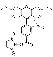 5(6)-CARBOXYTETRAMETHYLRHODAMINE N-SUCCINIMIDYL ESTER Structure