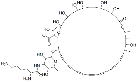 methyl (19E,21E,23E,25E,27E,29E,31E)-33-[4-(2,6-diaminohexanoylamino)- 3,5-dihydroxy-6-methyl-oxan-2-yl]oxy-1,3,5,6,9,11,17,37-octahydroxy-15 ,16,18-trimethyl-13-oxo-14,39-dioxabicyclo[33.3.1]nonatriaconta-19,21, 23,25,27,29,31-heptaene-36-carboxylate Structure