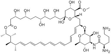 N-D-Ornithylamphotericin B methyl ester 구조식 이미지