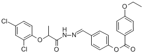 SALOR-INT L495336-1EA Structure