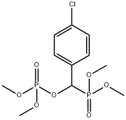 SR 202 Structure