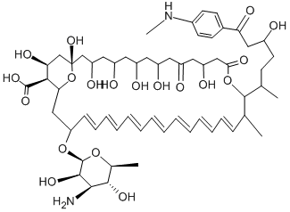 Candicidin D, 40-demethyl-3,7-dideoxo-3,7-dihydroxy-N47-methyl-5-oxo-, cyclic 15,19-hemiacetal 구조식 이미지