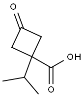 시클로부탄카르복실산,1-(1-메틸에틸)-3-옥소-(9CI) 구조식 이미지