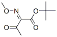 2-Methoxyimino-3-oxobutyric acid tert-butyl ester Structure