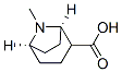8-Azabicyclo[3.2.1]octane-2-carboxylicacid,8-methyl-,(1R,5R)-(9CI) 구조식 이미지