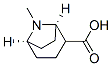 8-Azabicyclo[3.2.1]octane-2-carboxylicacid,8-methyl-,(1R,5R)-(9CI) Structure