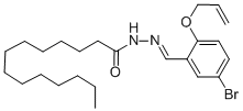 SALOR-INT L458767-1EA Structure