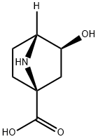 7-Azabicyclo[2.2.1]heptane-1-carboxylicacid,3-hydroxy-,(1S,3S,4R)-(9CI) Structure