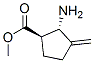 Cyclopentanecarboxylic acid, 2-amino-3-methylene-, methyl ester, trans- (9CI) Structure