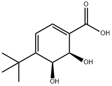 1,3-Cyclohexadiene-1-carboxylic acid, 4-(1,1-dimethylethyl)-5,6-dihydroxy-, (5S,6R)- (9CI) Structure