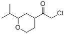 Ethanone, 2-chloro-1-[tetrahydro-2-(1-methylethyl)-2H-pyran-4-yl]- (9CI) 구조식 이미지