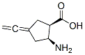 Cyclopentanecarboxylic acid, 2-amino-4-ethenylidene-, (1R,2S)- (9CI) Structure