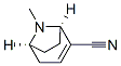 8-Azabicyclo[3.2.1]oct-2-ene-2-carbonitrile,8-methyl-,(1R,5S)-(9CI) 구조식 이미지