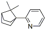 Pyridine, 2-(7,7-dimethylbicyclo[2.2.1]hept-1-yl)- (9CI) 구조식 이미지