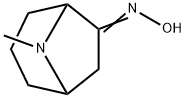 8-Azabicyclo[3.2.1]octan-6-one,8-methyl-,oxime(9CI) 구조식 이미지