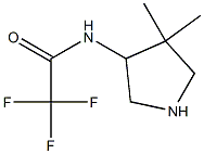 아세트아미드,N-(4,4-디메틸-3-피롤리디닐)-2,2,2-트리플루오로-,(+)-(9CI) 구조식 이미지