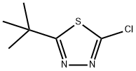 2-tert-butyl-5-chloro-1,3,4-thiadiazole Structure