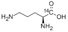 L-ORNITHINE, [1-14 C] Structure