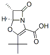 4-Oxa-1-azabicyclo[3.2.0]hept-2-ene-2-carboxylicacid,3-(1,1-dimethylethyl)-6-methyl-7-oxo-,cis-(9CI) Structure