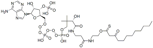 S-[2-[3-[[4-[[[(2R,3S,4R,5R)-5-(6-aminopurin-9-yl)-4-hydroxy-3-phosphonooxyoxolan-2-yl]methoxy-hydroxyphosphoryl]oxy-hydroxyphosphoryl]oxy-2-hydroxy-3,3-dimethylbutanoyl]amino]propanoylamino]ethyl] 3-oxododecanethioate Structure