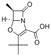 4-Oxa-1-azabicyclo[3.2.0]hept-2-ene-2-carboxylicacid,3-(1,1-dimethylethyl)-6-methyl-7-oxo-,trans-(9CI) 구조식 이미지