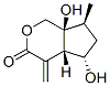 Cyclopenta[c]pyran-3(1H)-one, hexahydro-5,7a-dihydroxy-7-methyl-4-methylene-, (4aS,5S,7S,7aS)- (9CI) 구조식 이미지