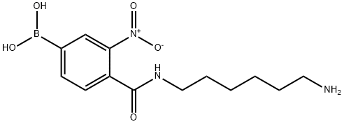 3-nitro-4-(6-aminohexylamido)phenylboronic acid Structure