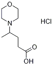 4-morpholin-4-ylpentanoic acid(SALTDATA: HCl) Structure