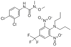 CHANDOR Structure