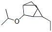 Tricyclo[2.2.1.02,6]heptane, 1-ethyl-3-(1-methylethoxy)- (9CI) 구조식 이미지