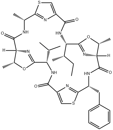 PATELLAMIDE C Structure