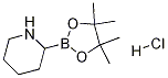 2-(4,4,5,5-tetramethyl-1,3,2-dioxaborolan-2-yl)piperidine hydrochloride Structure