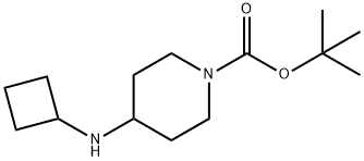 1-BOC-4-시클로부틸아미노-피페리딘 구조식 이미지