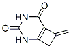 2,4-Diazabicyclo[4.2.0]oct-1(6)-ene-3,5-dione, 7-methylene- (9CI) Structure