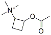 2-acetoxycyclobutyltrimethylammonium Structure