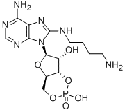 8-(4-AMINOBUTYL) AMINOADENOSINE-3',5'-CYCLIC MONOPHOSPHATE Structure