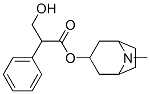 atropine 구조식 이미지