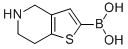 4,5,6,7-TETRAHYDROTHIENO[3,2-C]PYRIDIN-2-YL BORONIC ACID Structure