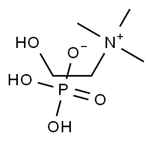 choline dihydrogen phosphate 구조식 이미지