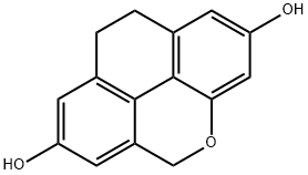 Flavidin Structure