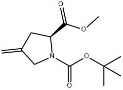 N-Boc-4-Methylene-L-proline Methyl Ester 구조식 이미지