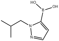 2-이소부틸-2H-피라졸-3-보론산 구조식 이미지