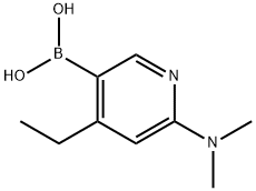 6-(디메틸아미노)-4-에틸피리딘-3-일보론산 구조식 이미지
