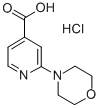 2-MORPHOLIN-4-YL-ISONICOTINIC ACID HYDROCHLORIDE Structure