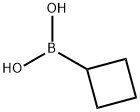 849052-26-2 CYCLOBUTYLBORONIC ACID