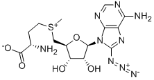 8-Aasm Structure