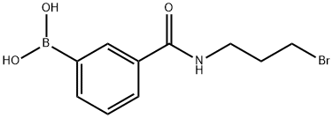 N-(3-BROMOPROPYL) 3-BORONOBENZAMIDE Structure