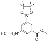 (3-AMINO-5-METHOXYCARBONYL)벤젠보론산피나콜에스테르염산염 구조식 이미지