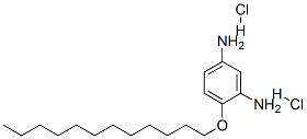 4-(도데실옥시)벤젠-1,3-디아민XNUMX염산염 구조식 이미지